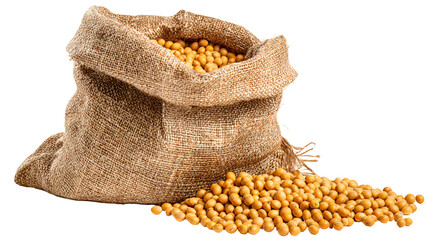 Burlap sack overflowing with golden soybeans on a dark background