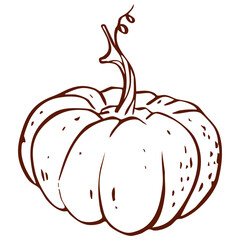 Hand drawn pumpkin with stem in detailed brown line art. Rustic vegetable vector illustration. Harvest, autumn, and seasonal graphic element.