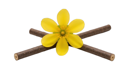 Simple yellow flower sits on crossing sticks, isolated on black background