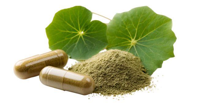 Herbal supplements centella asiatica capsules and powder with green leaves