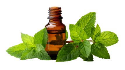 Amber glass bottle of essential oil surrounded by fresh green mint leaves on black background