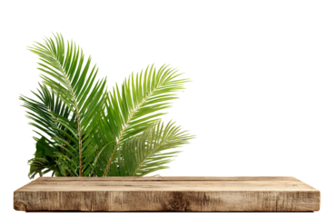 Natural wood platform with lush green foliage against a dark background