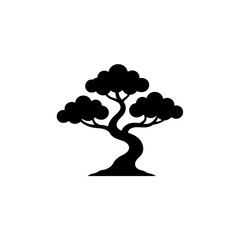 bonsai tree vector icon