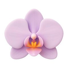 Delicate lavender orchid bloom isolated on plain surface