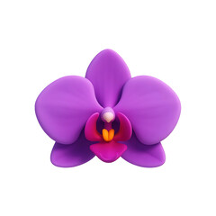 Vibrant purple orchid flower isolated on solid surface