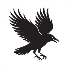 Bald eagle silhouette isolated on white