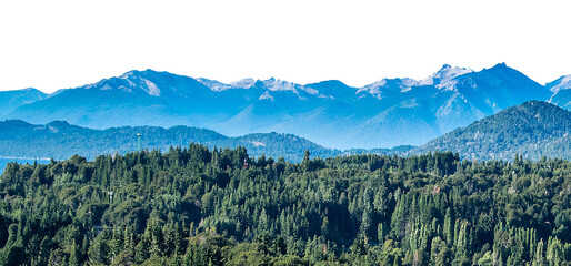 Isolate image of forest and mountain landscape