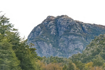 Isolate image of forest and mountain landscape