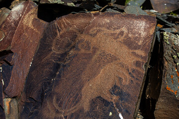 The petroglyphs of the Tanbala archaeological landscape have been included in the UNESCO World Heritage List.
