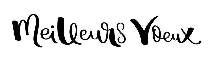 MEILLEURS VOEUX (HAPPY NEW YEAR in French) black brush calligraphy banner on transparent background