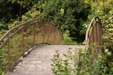 A fragment of an old curved pedestrian bridge in the bushes.