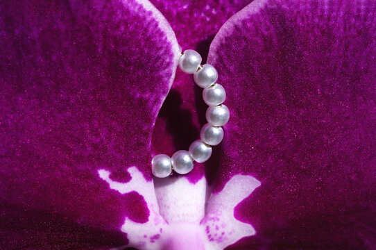 Purple orchid with pearl earrings in vibrant close-up view