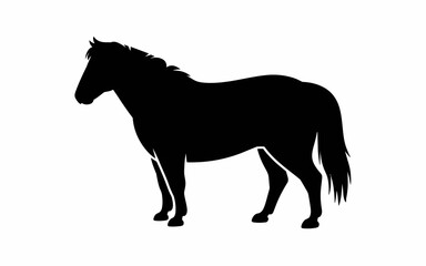 silhouette of a horse