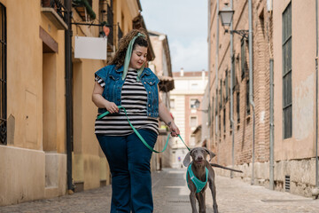 Curvy woman walking a weimaraner dog on leash in cobblestone alley