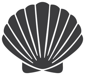 Stylized dark grey seashell silhouette with radiating lines