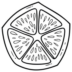 Outline drawing of a fresh citrus fruit slice with inner pulp design