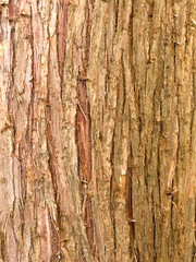 Vertical close-up of a reddish cracked tree bark texture