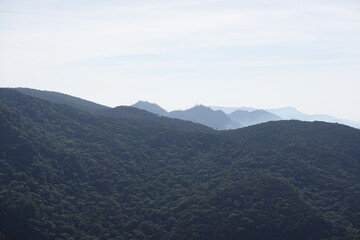 Morning nature view in sri lanka