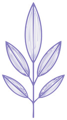 Obraz premium Botanical Illustration of a Decorative Plant Branch