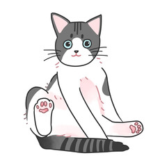 앉아있는 고양이