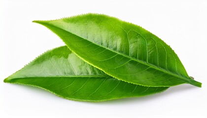 Fototapeta premium close up of two vibrant green tea leaves isolated on a white background background removed