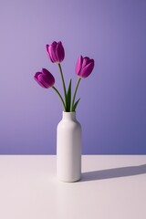 Fototapeta premium Three purple tulips in white vase on table