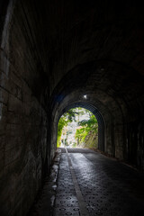 Fototapeta premium 鎌倉251019 佐助稲荷神社1