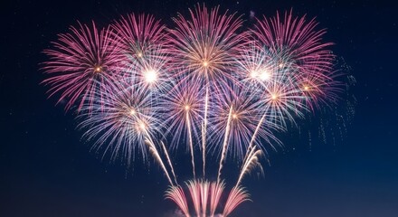 Vibrant fireworks bursting in the dark night sky, creating a festive and colorful celebration scene. Perfect for New Year, Independence Day, festivals, events, or holiday backgrounds with bright light