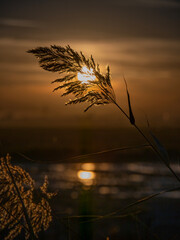 Sunset at the port of Catarroja (Valencia - Spain)