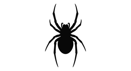 A stark black silhouette of a spider with eight long legs and a distinct body shape on a pure white background silhouette