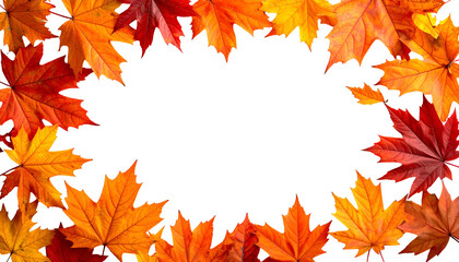 Frame of colorful fall leaves encircling a black, empty space, a seasonal motif