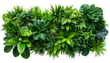 A dense, vibrant wall of lush, varied green foliage, showcasing diverse tropical plants