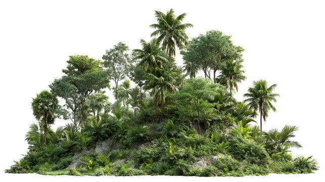 Lush green dense forest foliage with diverse trees and plants against a black background - Powered by Adobe