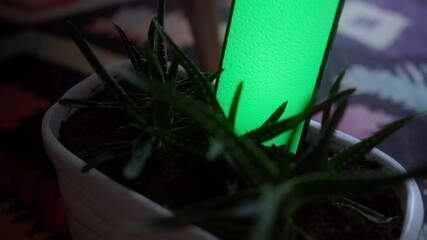 A close-up of a green succulent in a pot with a smartphone displaying the message “Water Me, Watch Me Grow,” symbolizing care and growth.
- Powered by Adobe