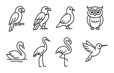 Outline illustrations of eight unique bird species showcasing diverse avian features