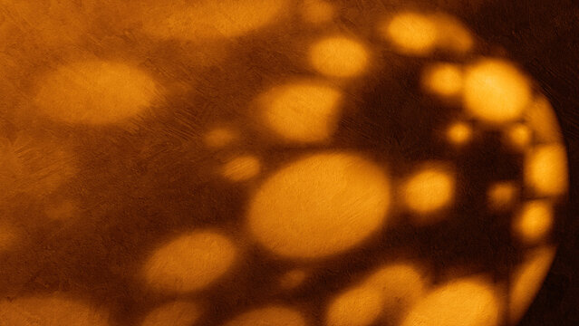 Shadows dance on a textured wall background in warm light