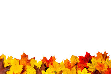 Bottom Maple Border PNG