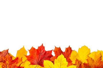 Yellow Orange Leaf Frame PNG