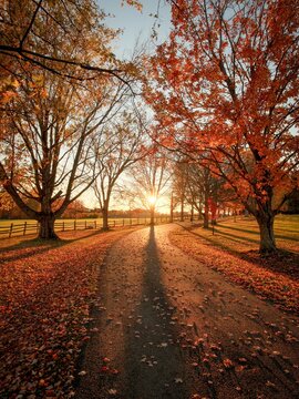 Autumn sunset at Knox Farm State Park, East Aurora, New York