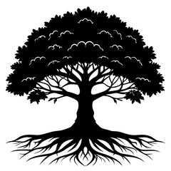 Silhouette of a majestic tree with exposed roots © Maria