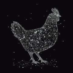 Abstract low poly wireframe chicken silhouette composed of glowing starry points and connecting lines on dark space background vector illustration