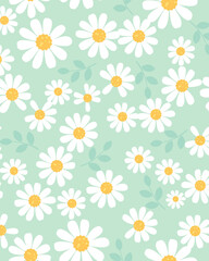 seamless pattern with camomiles.seamless floral pattern. 