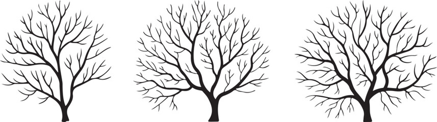 Fototapeta premium Set of Silhouette Bare Trees Perfect for Winter Season Illustrations and Spooky Backgrounds with Branches in Monochrome Graphic Style for Print