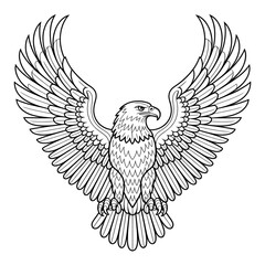 Eagle illustration vector style of a coloring page 