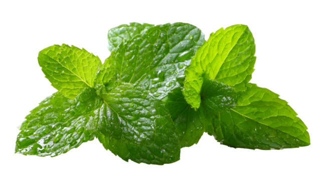 Modern black television remote control with numerous buttons and navigation pad isolated on black background