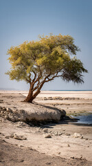 Lonely tree standing on rocky shore near calm water, Desert landscape with golden foliage under clear blue sky