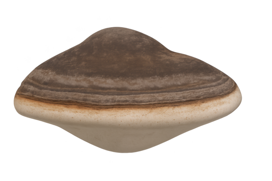 Two-toned, smooth stone with brown top and white base, heart-shaped pebble-like sculpture