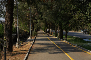 A cyclist rides on a dedicated bike path, rear view.