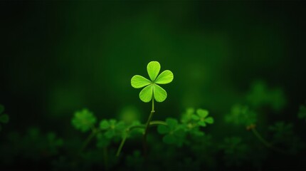 Find good fortune and luck with this vibrant five leaf clover against a dark green background, perfect for St Patrick's Day