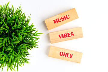 Three wooden blocks with the words Music, Vibes, and Only stacked near a potted plant on a white surface. Celebrating positive sounds and good feelings